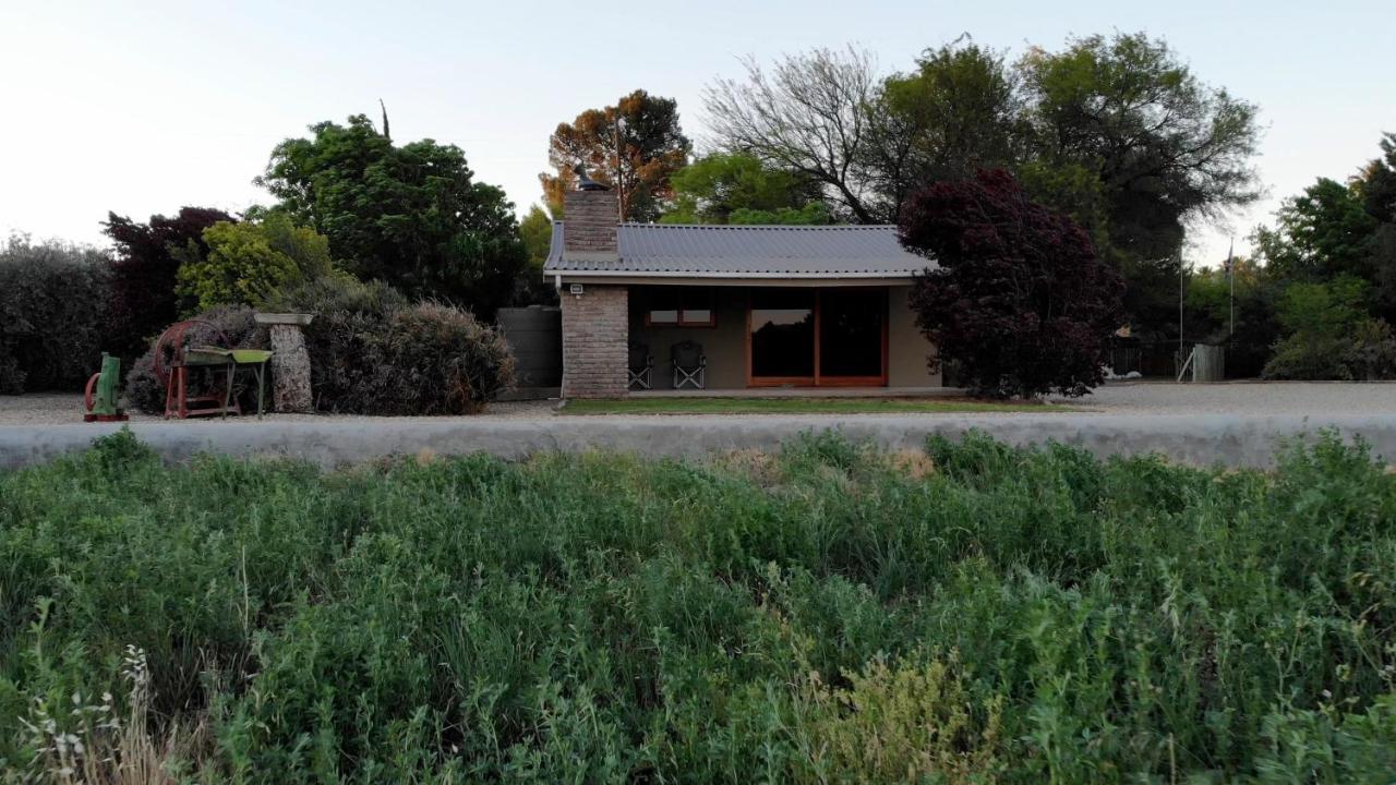 Tarantula Guest House Calvinia Экстерьер фото
