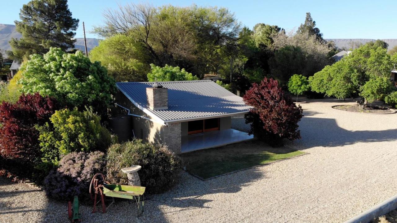 Tarantula Guest House Calvinia Экстерьер фото